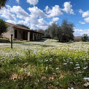  Bauernhof Bio Pian Dei Casali